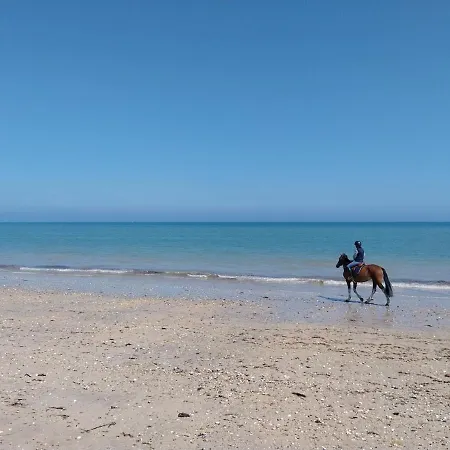 Διαμέρισμα De La Mouette - Le Sauticot 4-5 Personnes