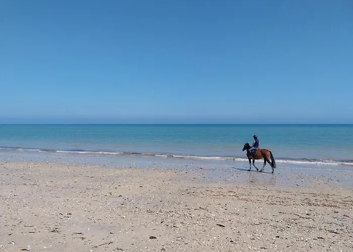 شقة De La Mouette - Le Sauticot 4-5 Personnes